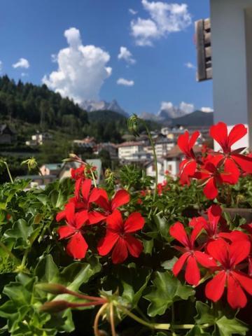 La Casa Di Monte Ricco Apartment Pieve di Cadore Exterior photo